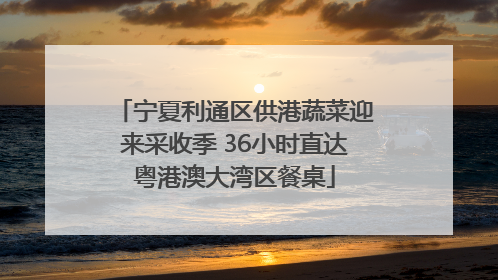 宁夏利通区供港蔬菜迎来采收季 36小时直达粤港澳大湾区餐桌