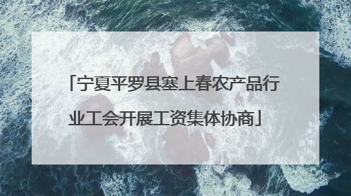 宁夏平罗县塞上春农产品行业工会开展工资集体协商