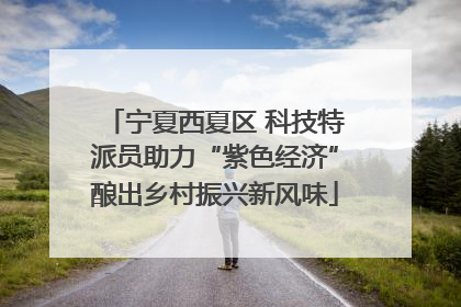 宁夏西夏区 科技特派员助力“紫色经济”酿出乡村振兴新风味