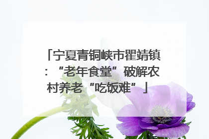 宁夏青铜峡市瞿靖镇：“老年食堂”破解农村养老“吃饭难”