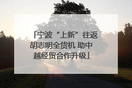 宁波“上新”往返胡志明全货机 助中越经贸合作升级