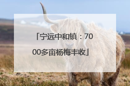 宁远中和镇：7000多亩杨梅丰收