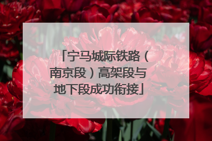 宁马城际铁路（南京段）高架段与地下段成功衔接