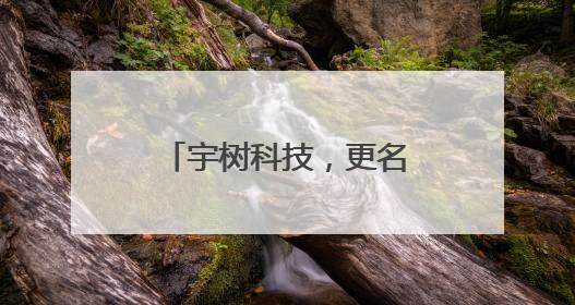 宇树科技，更名！回应来了→