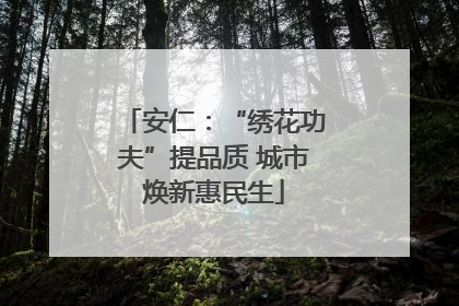 安仁：“绣花功夫”提品质 城市焕新惠民生