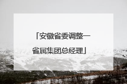 安徽省委调整一省属集团总经理