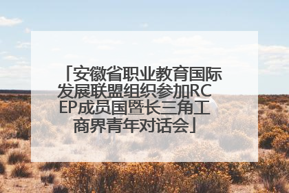 安徽省职业教育国际发展联盟组织参加RCEP成员国暨长三角工商界青年对话会