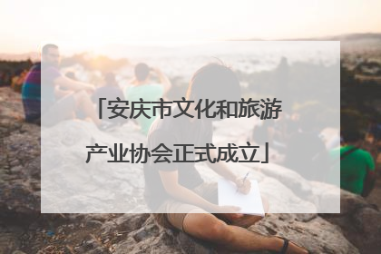 安庆市文化和旅游产业协会正式成立