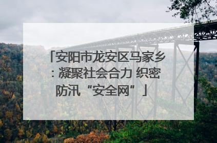 安阳市龙安区马家乡：凝聚社会合力 织密防汛“安全网”