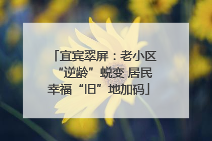 宜宾翠屏：老小区“逆龄”蜕变 居民幸福“旧”地加码