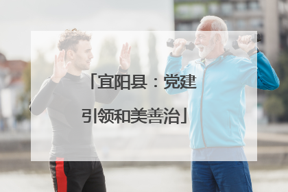 宜阳县：党建引领和美善治