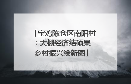 宝鸡陈仓区南阳村：大棚经济结硕果 乡村振兴绘新图
