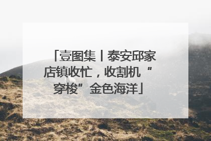 壹图集丨泰安邱家店镇收忙，收割机“穿梭”金色海洋
