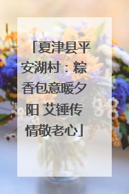夏津县平安湖村：粽香包意暖夕阳 艾锤传情敬老心