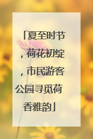 夏至时节，荷花初绽，市民游客公园寻觅荷香雅韵