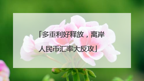 多重利好释放，离岸人民币汇率大反攻