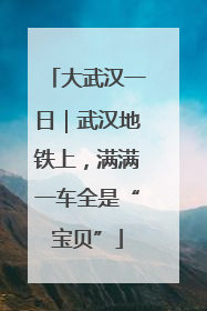 大武汉一日｜武汉地铁上，满满一车全是“宝贝”