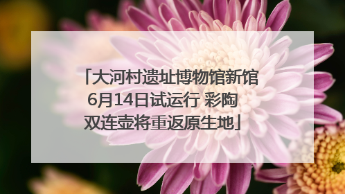 大河村遗址博物馆新馆6月14日试运行 彩陶双连壶将重返原生地