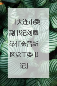大连市委副书记刘恩举任金普新区党工委书记