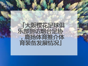 大阪樱花足球俱乐部到访烟台足协，鹿扬体育推介体育装备发展情况
