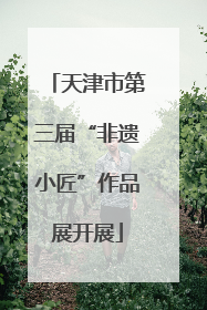 天津市第三届“非遗小匠”作品展开展