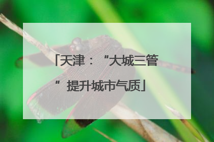 天津：“大城三管”提升城市气质