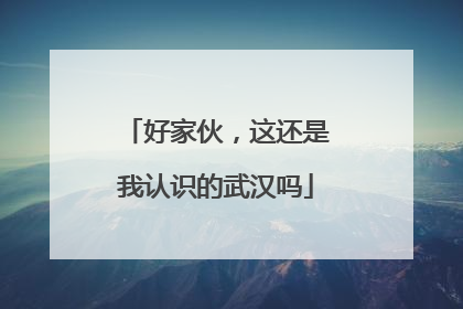 好家伙，这还是我认识的武汉吗