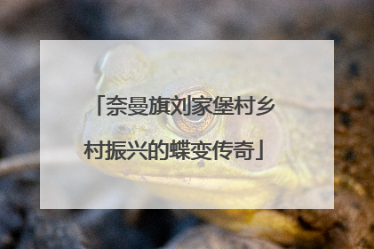 奈曼旗刘家堡村乡村振兴的蝶变传奇