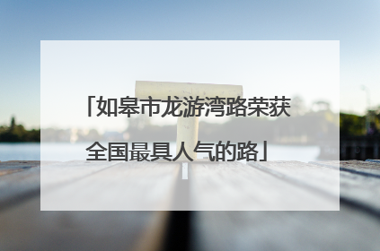 如皋市龙游湾路荣获全国最具人气的路