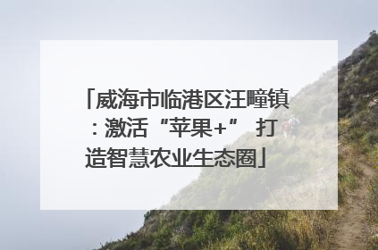 威海市临港区汪疃镇：激活“苹果+” 打造智慧农业生态圈