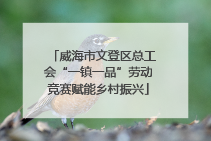 威海市文登区总工会“一镇一品”劳动竞赛赋能乡村振兴