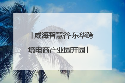 威海智慧谷·东华跨境电商产业园开园