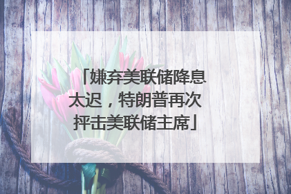 嫌弃美联储降息太迟，特朗普再次抨击美联储主席