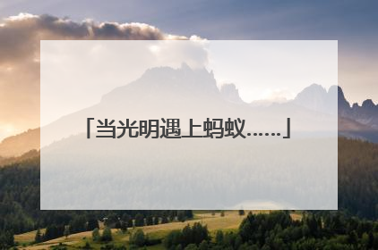 当光明遇上蚂蚁……