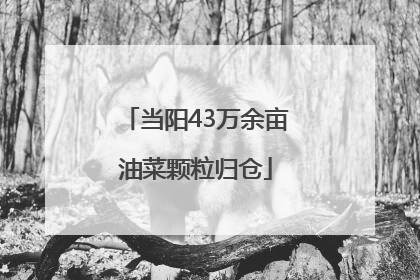 当阳43万余亩油菜颗粒归仓