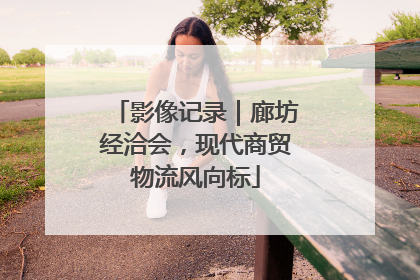 影像记录｜廊坊经洽会，现代商贸物流风向标