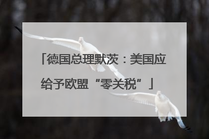 德国总理默茨:美国应给予欧盟“零关税”