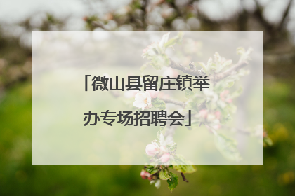 微山县留庄镇举办专场招聘会