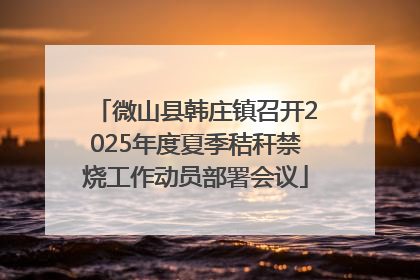微山县韩庄镇召开2025年度夏季秸秆禁烧工作动员部署会议