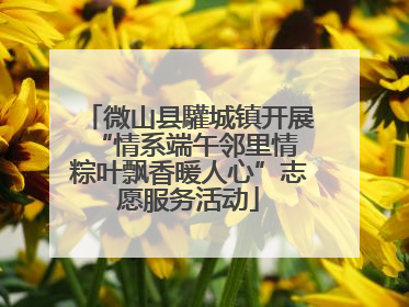 微山县驩城镇开展“情系端午邻里情 粽叶飘香暖人心”志愿服务活动