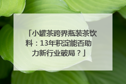 小罐茶跨界瓶装茶饮料：13年积淀能否助力新行业破局？