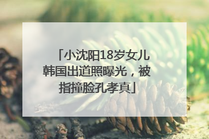 小沈阳18岁女儿韩国出道照曝光，被指撞脸孔孝真