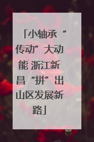 小轴承“传动”大动能 浙江新昌“拼”出山区发展新路