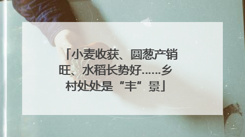 小麦收获、圆葱产销旺、水稻长势好……乡村处处是“丰”景