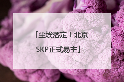 尘埃落定！北京SKP正式易主