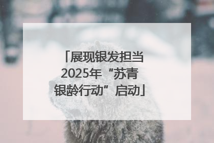 展现银发担当 2025年“苏青银龄行动”启动