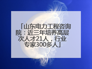 山东电力工程咨询院：近三年培养高层次人才21人，行业专家300多人