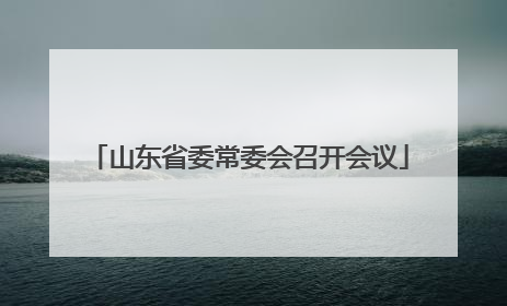 山东省委常委会召开会议