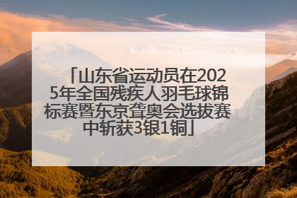 山东省运动员在2025年全国残疾人羽毛球锦标赛暨东京聋奥会选拔赛中斩获3银1铜