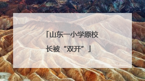 山东一小学原校长被“双开”